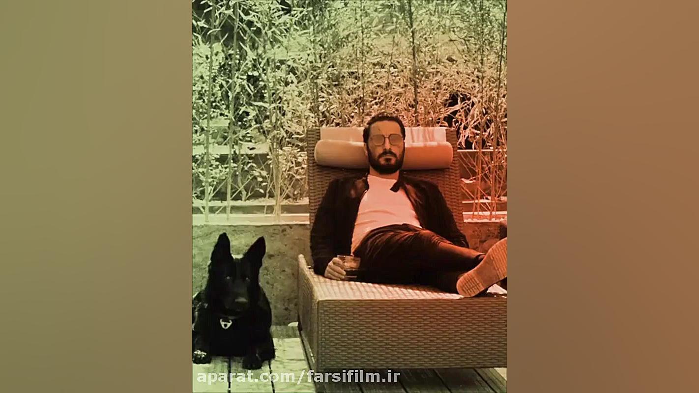 دانلود رایگان سریال قورباغه قس...