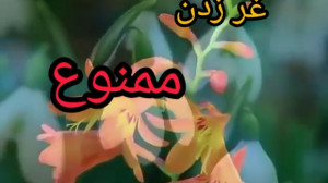 غر زدن ممنوع مثبت اندیشی  انرژ...