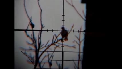 شکارپرنده با ‪هاتسان at 44