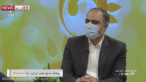 آیا بازار موز هم سلطان دارد؟!