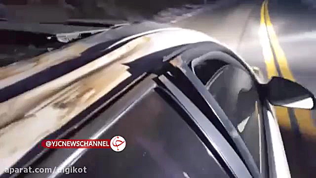 سقوط درخت ۶۱ متری بر روی یک خو...