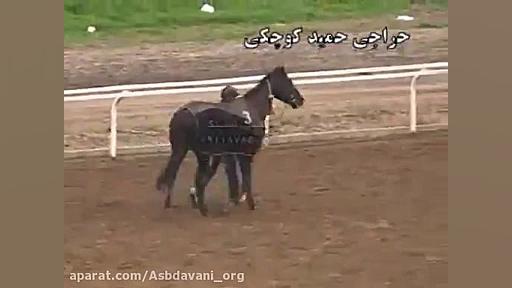 قهرمانی بای بای  دور 3 از هفته...