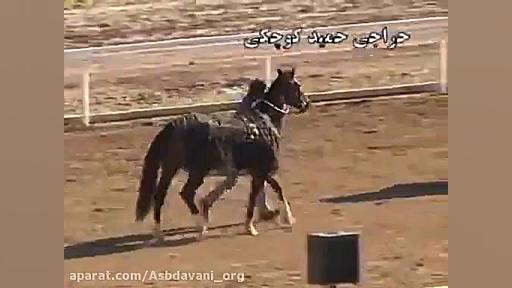 قهرمانی آی گون  دور 1 از هفته...