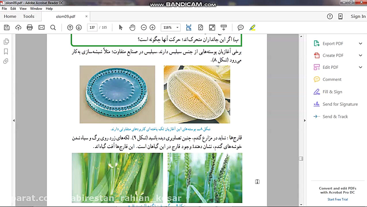 علوم نهم، فصل 11، بخش دوم (صفح...