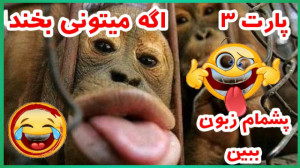 ^کلیپ های خنده دار  شوخی های خ...