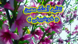 بازخوانی کامل آهنگ معین «...