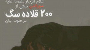 من سگ هستم سلبریتیها