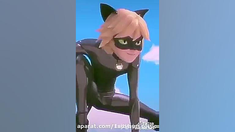 ی میکس عالی ساخت خودم از گربه...