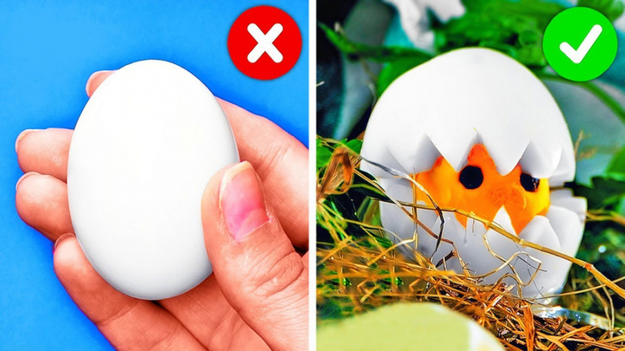 دستور العمل های خوشمزه تخم مرغ...