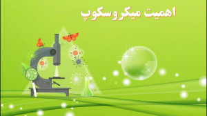 آموزش علوم ششم درس دهم خیلی کو...
