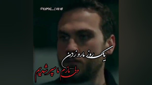 یک روز مارو زدن...