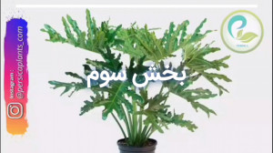 بخش سوم  آموزش نگهداری و تکثیر...