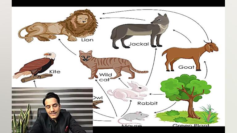 کاش قبل از شروع فارکس مطالب ای...