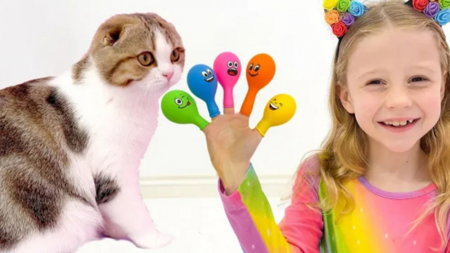 بازی ناستیا با گربه و آموزش رن...