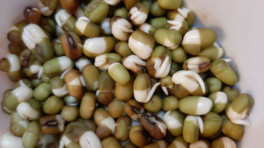 قسمت های مختلف دانه، علوم دوم...