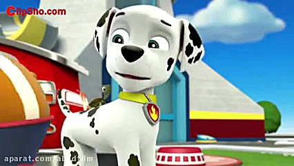 کارتون گشت پنجه ایی مشکل لاکپش...