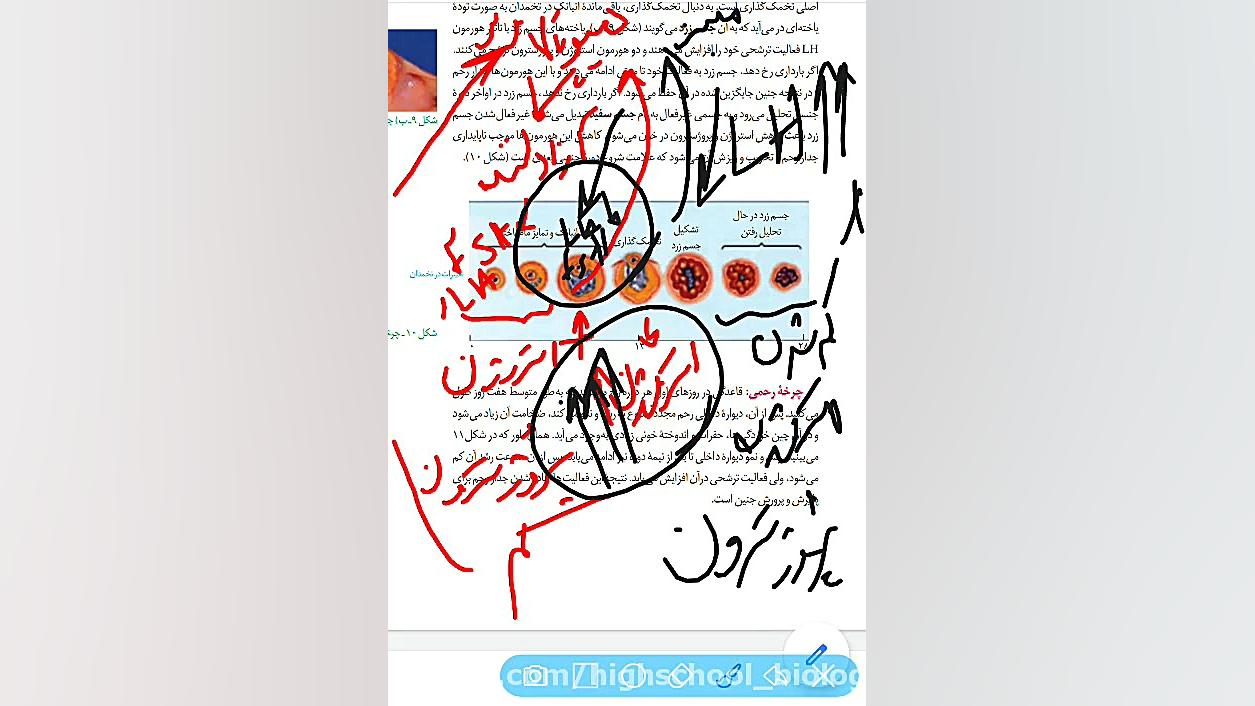 زیست یازدهم فصل ۷ گفتار ۴ صفحه...