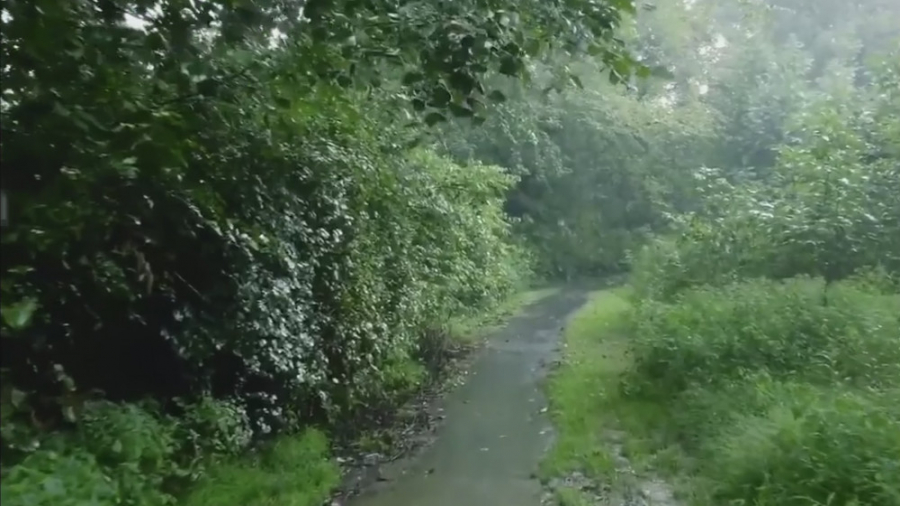 چی میشه که یه آدم سفرکرده و دن...