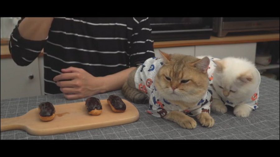 شیرینی مغزدار شکلاتی