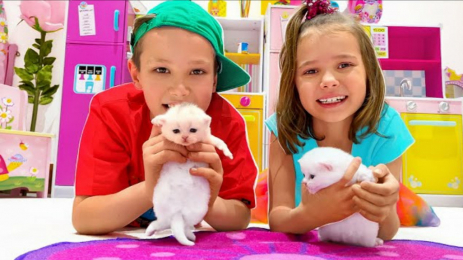 مکس و کتی گربه های جدید پیدا م...