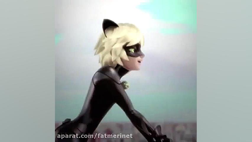 مکیس از کت نوار مای لاو کپی مم...