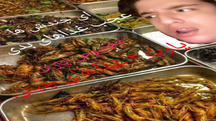 غذا هی چینی. وای نگاه هزار پار...