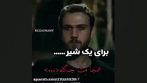 برای یک شیر همه جا مث جنگه(&bu...