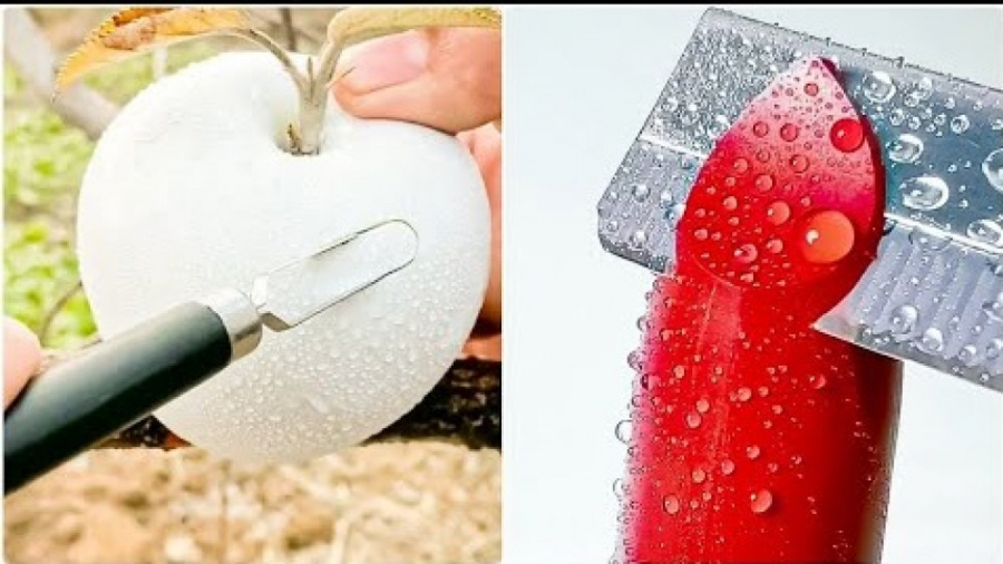 کلیپ تفریحی و سرگرمی | بازی و...