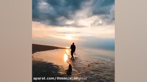 موزیک عاشقانه امید آمری