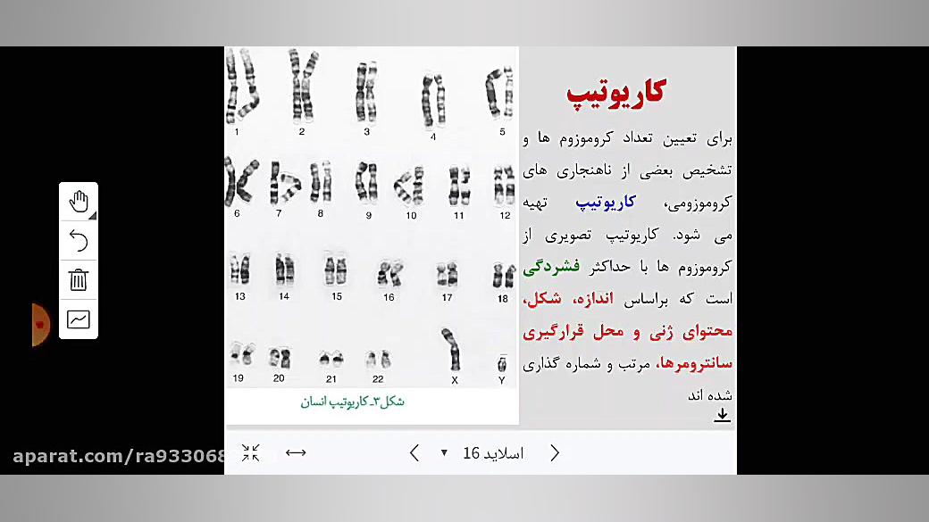 زیست شناسی یازدهم فصل 6 قسمت 2