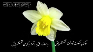 اتفاقات ظهور امام زمان عج