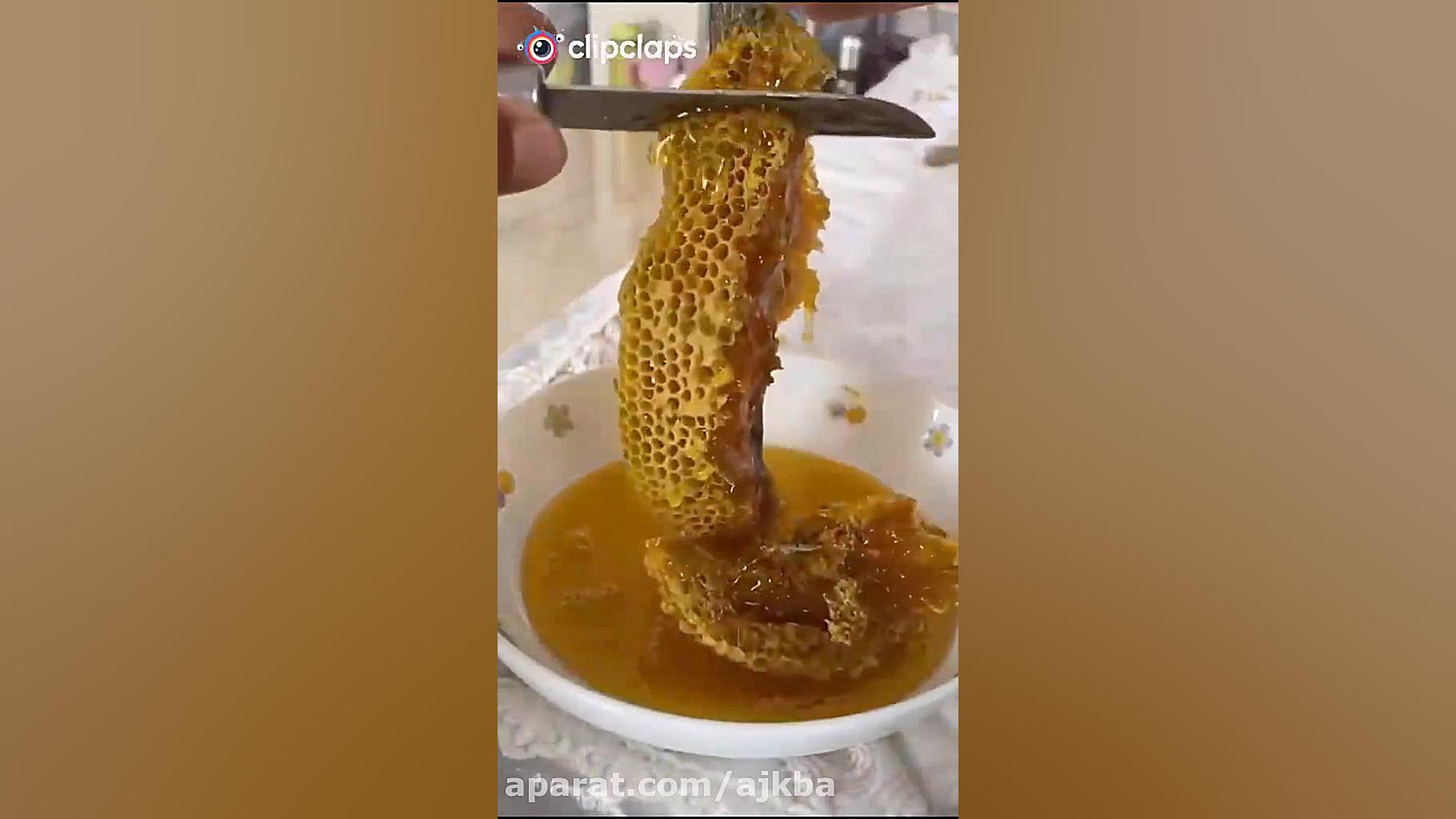 گرفتن عسل از کندوی طبیعی