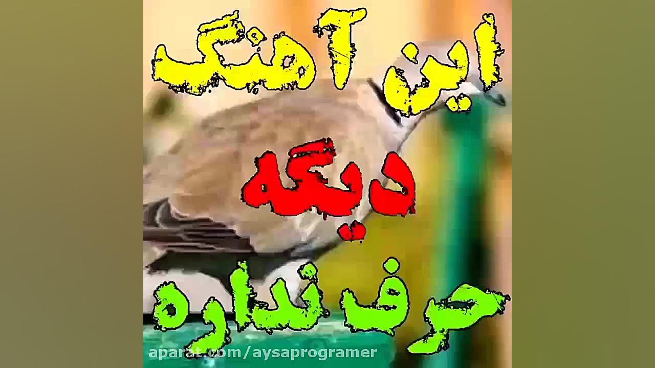 آهنگ زیبای علی رزاقی"محلی...