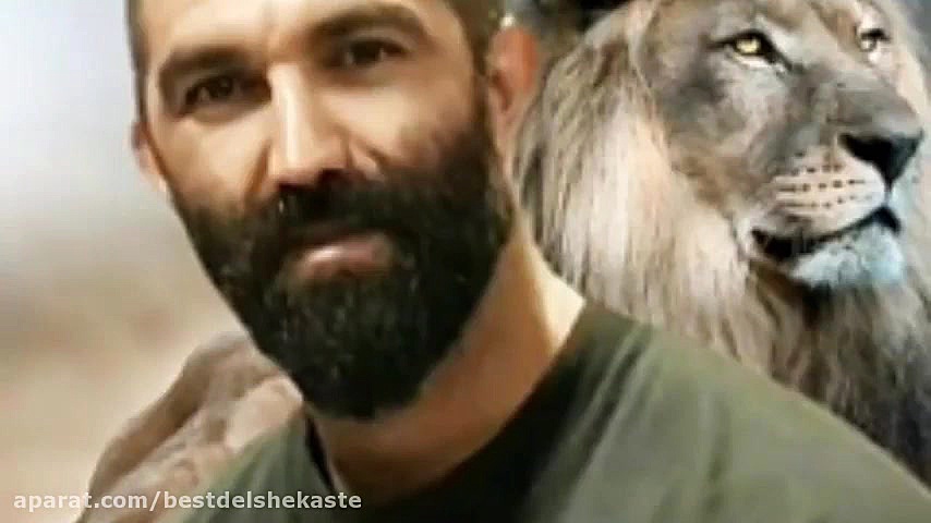 جان دلبر آهنگ شمالی تنهای وحشی...