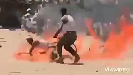 آبروی شلوار پلنگی ها رفت