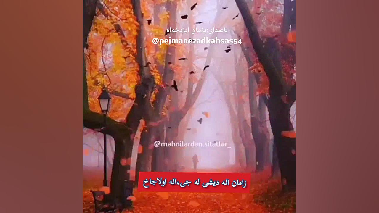 پژمان ایزدخواه دنیا دیکلمه سی