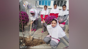 ۱۵ اسفند روز درختکاری