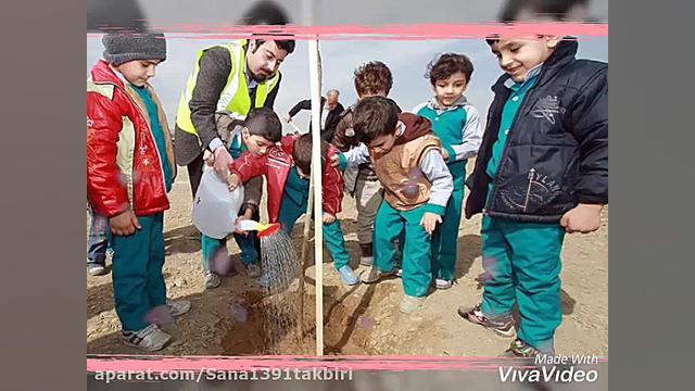 روز درخت کاری ثنا تکبیری مدرسه...