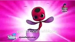 دخترکفش دوزکی دریایی