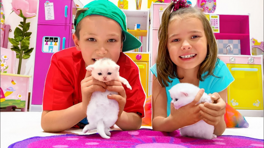 برنامه کودک جدید  مکس و کتی تو...