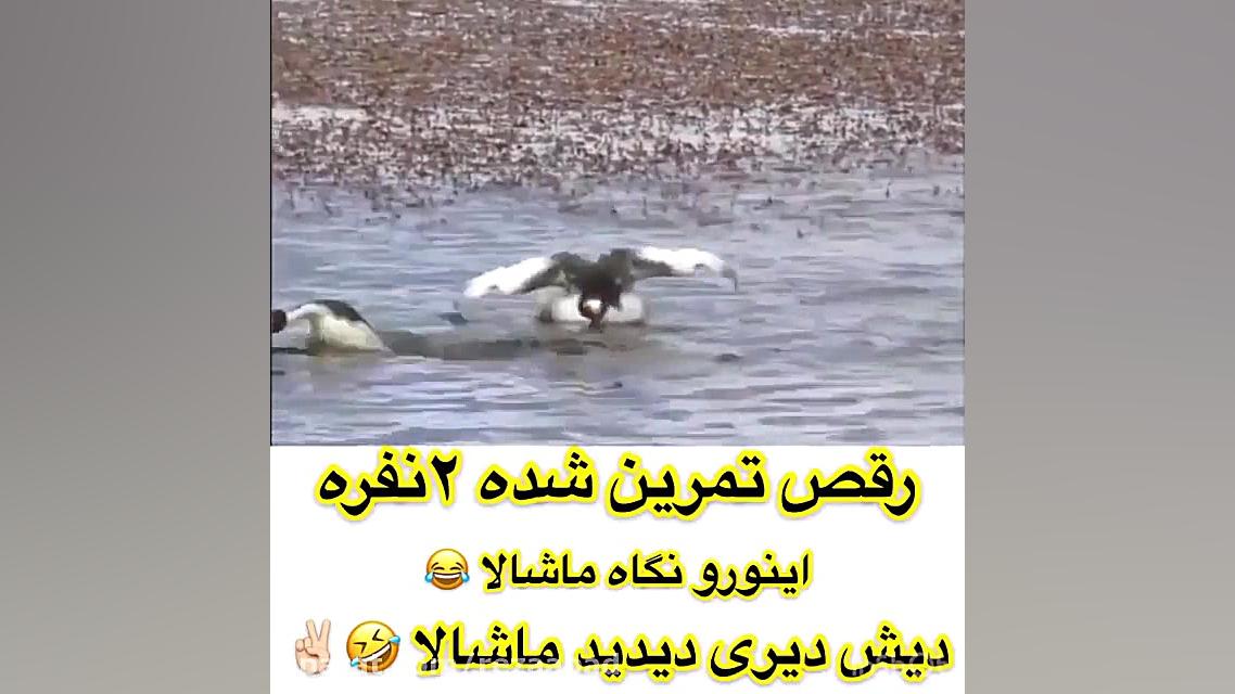 کلیپ خنده دار  کلیپ خنده دار