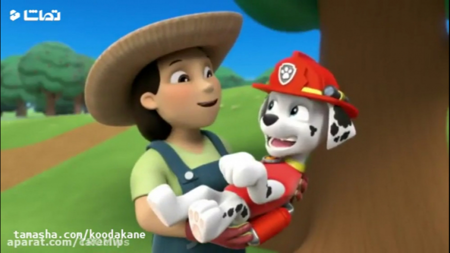 16 انیمیشن سگهای نگهبان  دانلو...