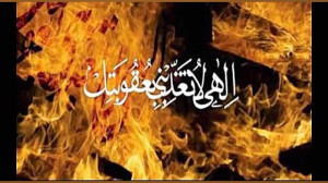 مقام و منزلت حضرت حمزه سیدالشه...
