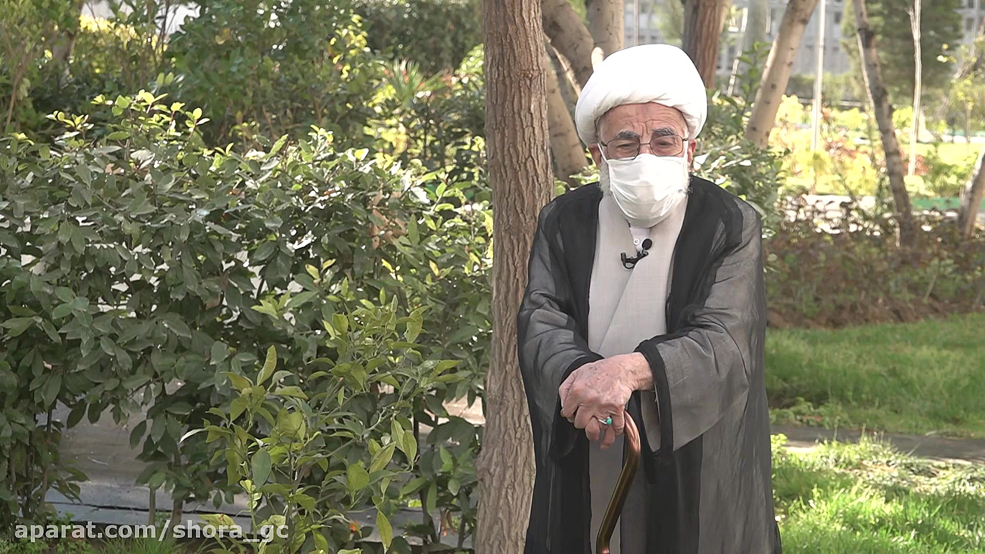 آیت‌الله جنتی: باید فرهنگ درخت...