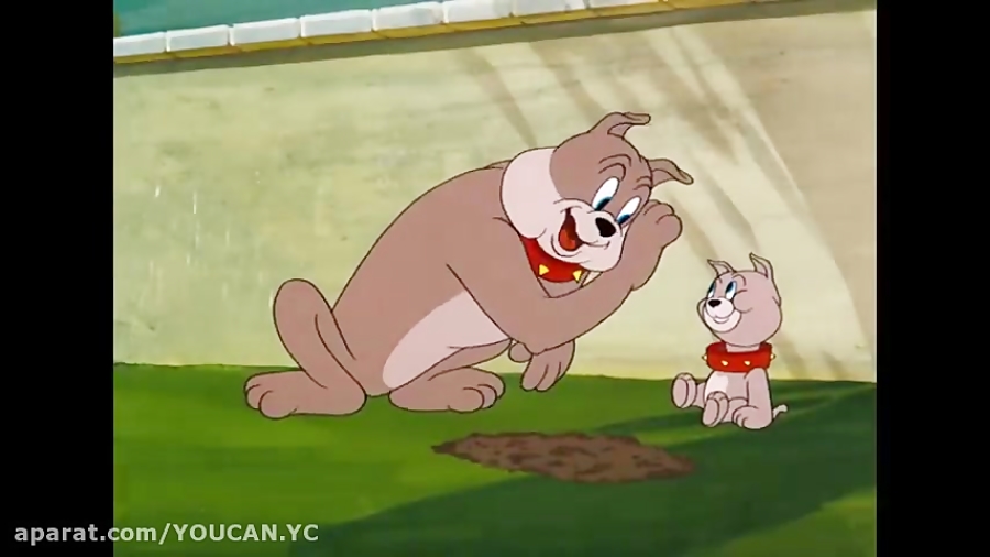 کارتون جدید تام و جری  درس تام...