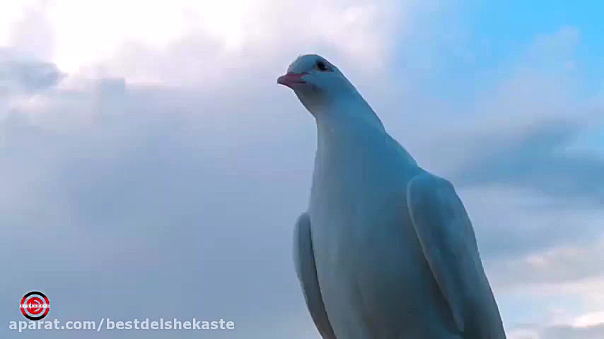 آهنگ شاد برای عید نوروز نوزوزی...