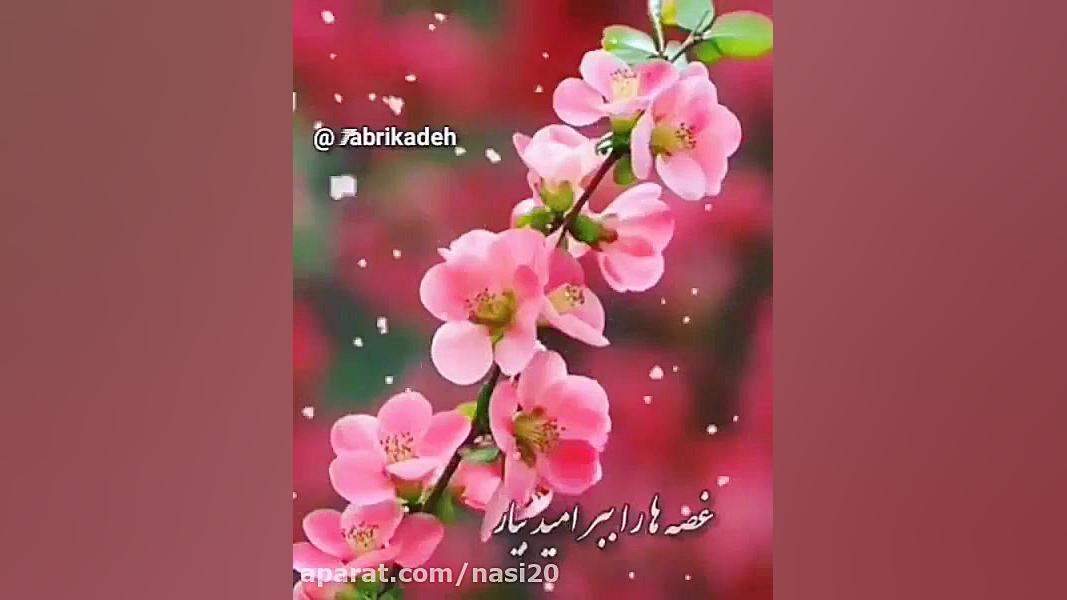 کلیپ سال نو مبارک  کلیپ تبریک...