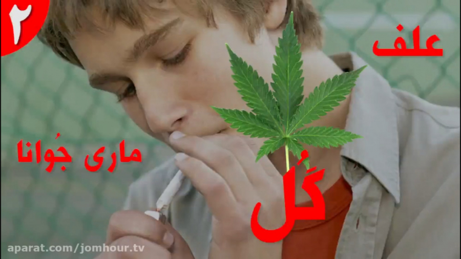 دلیل شما برای کشیدن گل چیه؟