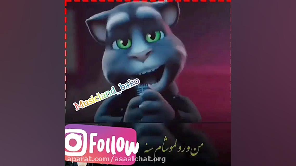 عاشقانه های گربه ها...