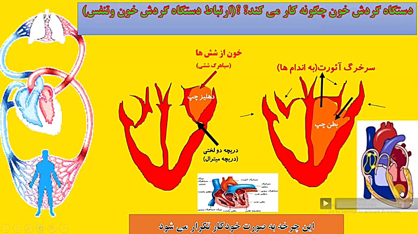 علوم ،جلسه دوم از فصل ۱۰،دستگا...